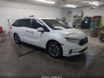  Salvage Honda Odyssey