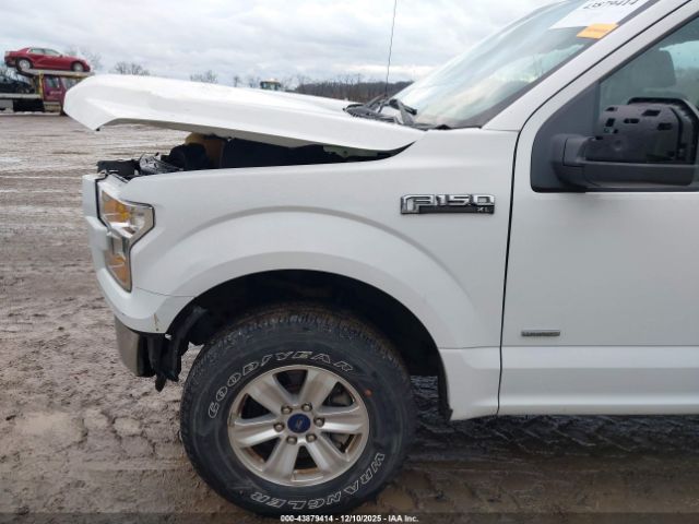 Ford F-150 Xl Image 5
