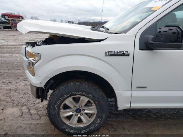Ford F-150 Xl Image 5