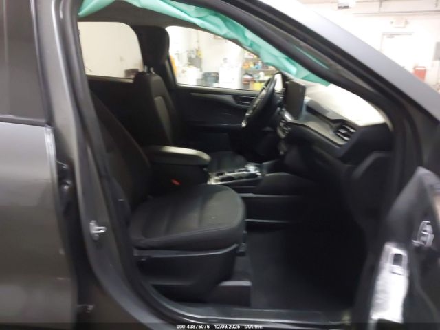 Ford Escape Active Image 5