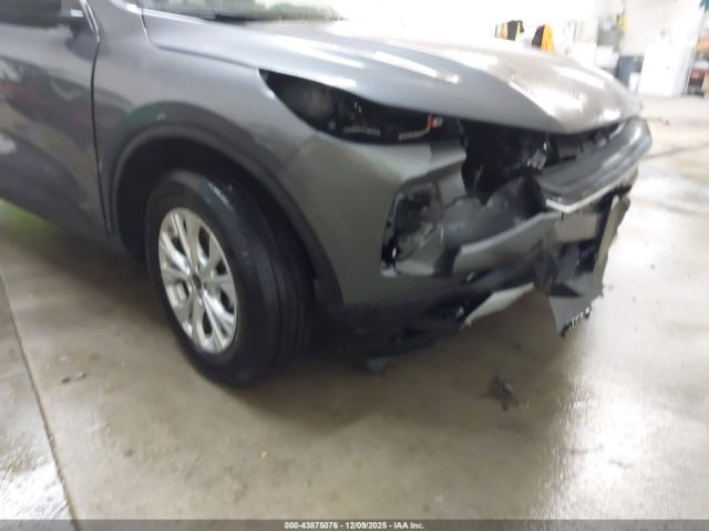 Ford Escape Active Image 12