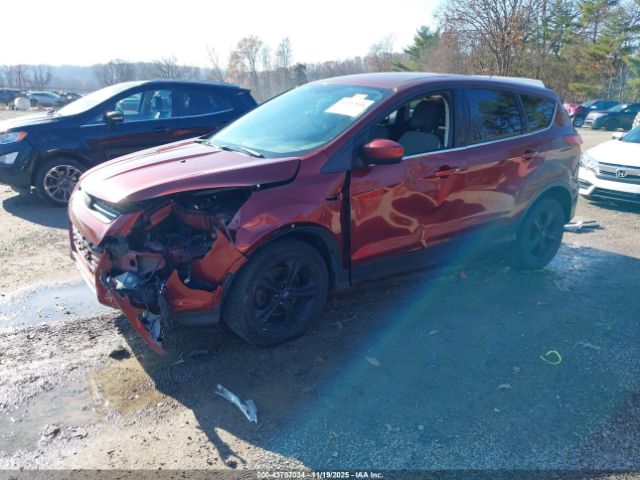 Ford Escape Se Image 3