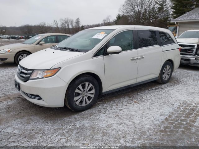 Honda Odyssey Ex Image 6