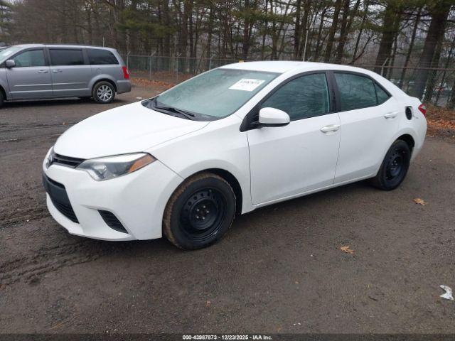 Toyota Corolla Le Image 2