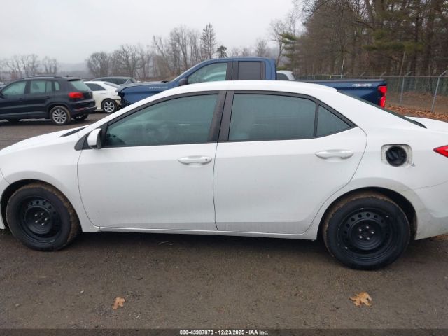 Toyota Corolla Le Image 13