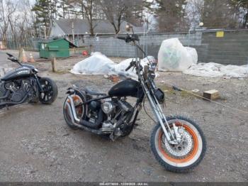  Salvage Custom Carefree