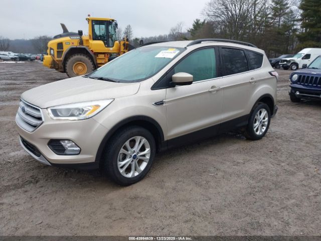 Ford Escape Sel Image 6