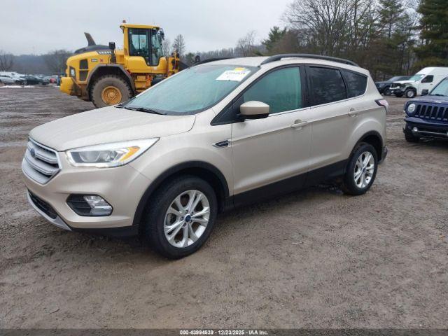 Ford Escape Sel Image 6