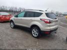Ford Escape Sel Image 3