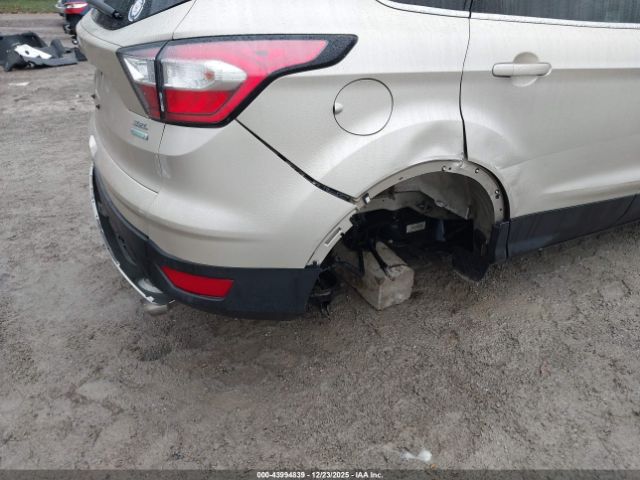 Ford Escape Sel Image 8