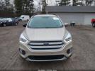 Ford Escape Sel Image 15