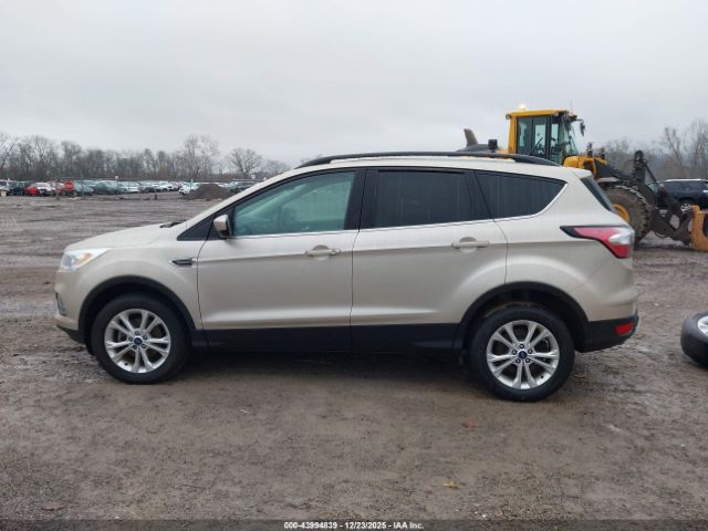 Ford Escape Sel Image 17