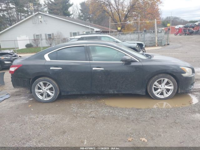 Nissan Maxima 3.5 S Image 3