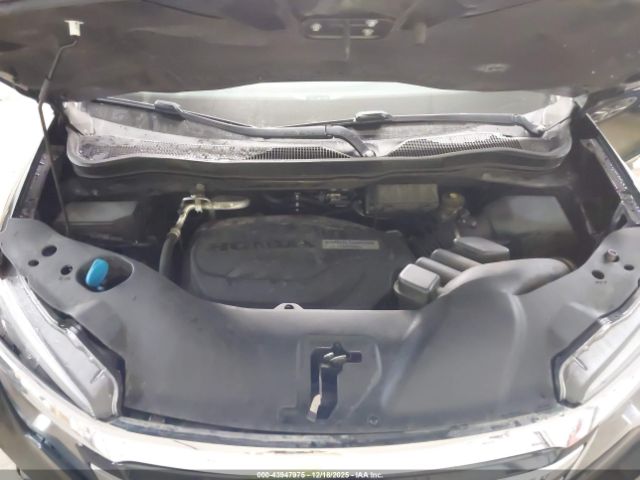 Honda Pilot Elite Image 11