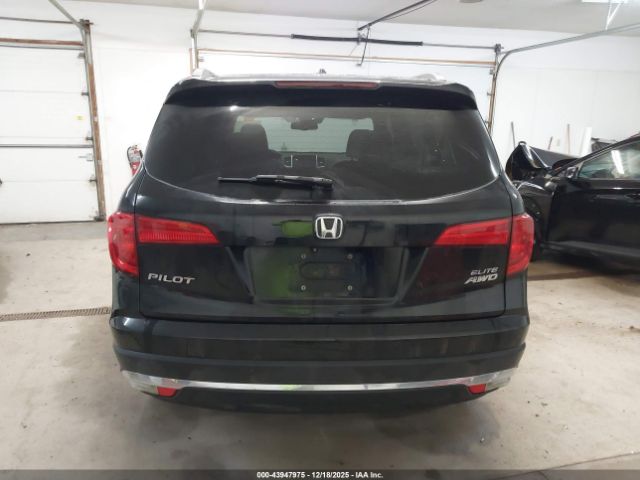 Honda Pilot Elite Image 19