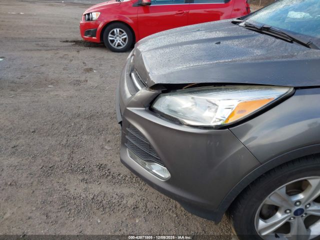 Ford Escape Se Image 12