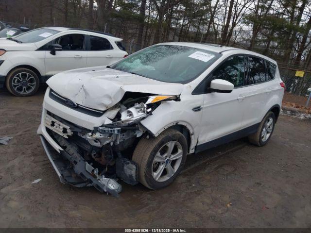 Ford Escape Se Image 3