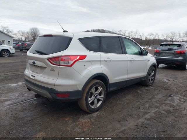 Ford Escape Se Image 12