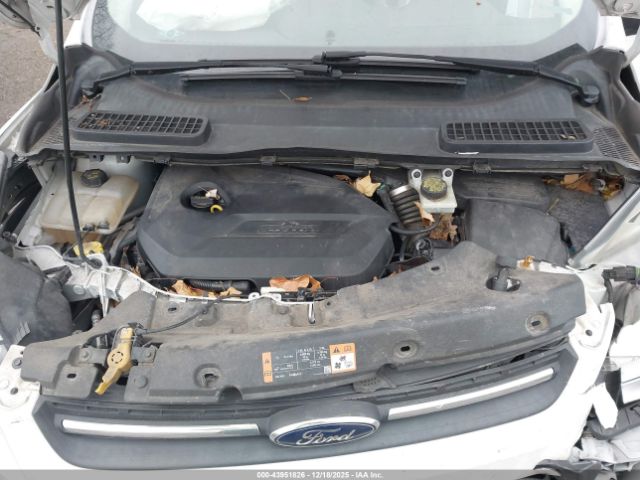 Ford Escape Se Image 9