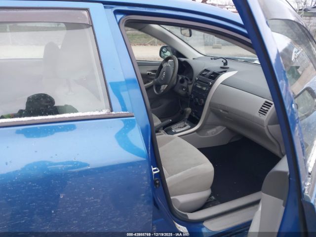 Toyota Corolla Le Image 5