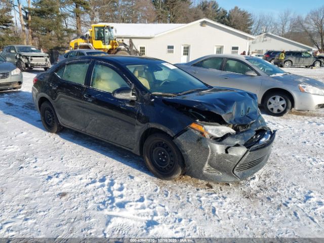 Toyota Corolla Le Image 1