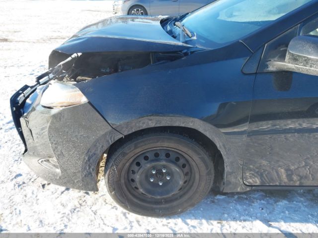 Toyota Corolla Le Image 4