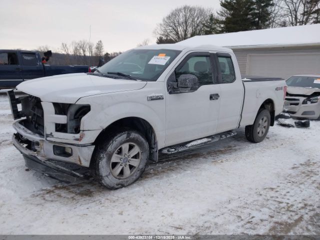 Ford F-150 Xl Image 12