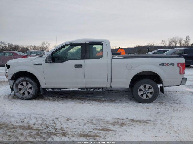 Ford F-150 Xl Image 13