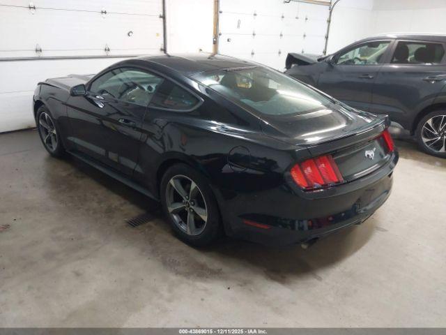 Ford Mustang Ecoboost Image 7
