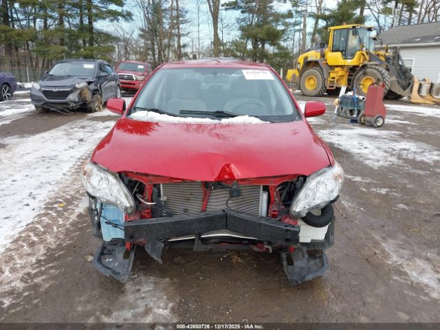 Toyota Corolla Le Image 11