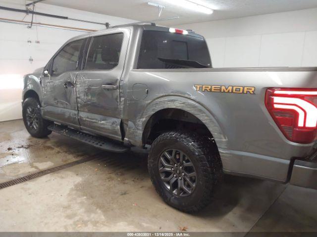 Ford F-150 Tremor Image 12