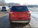 Ford Escape Se Image 13